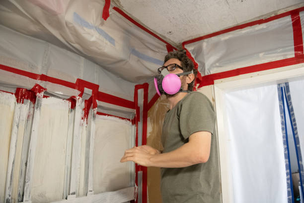 Mold Remediation for Rental Properties in Amory, MS